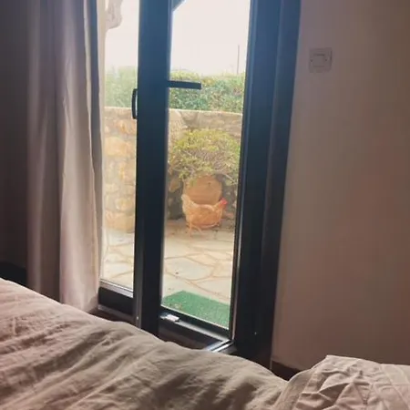 Villa Batsheva *